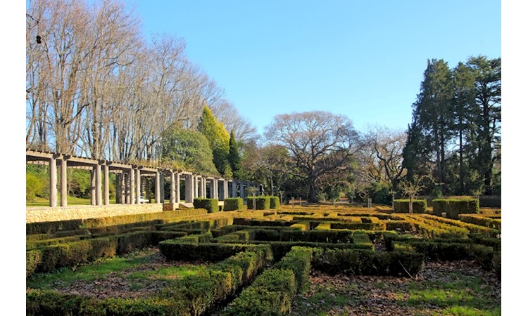 Serralves Park