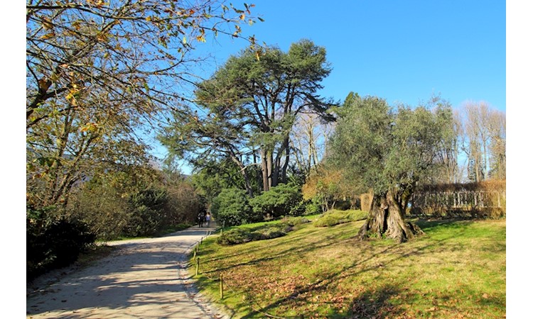 Serralves Park