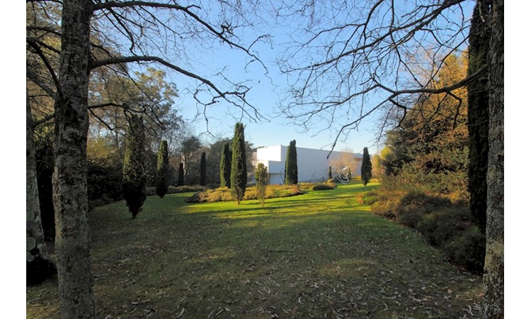 Serralves Park