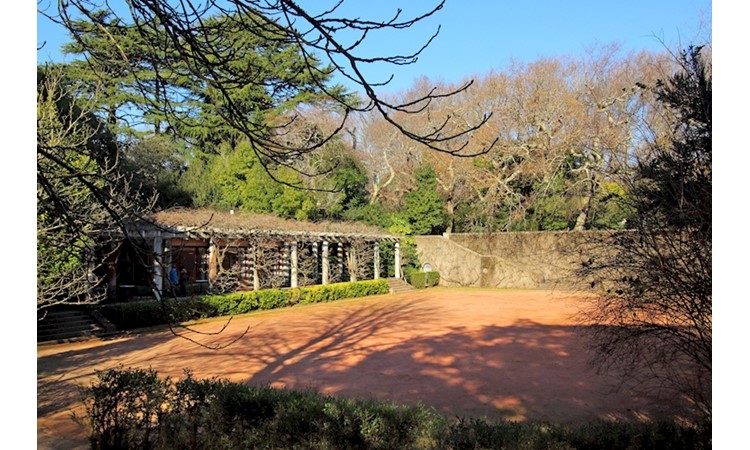 Serralves Park