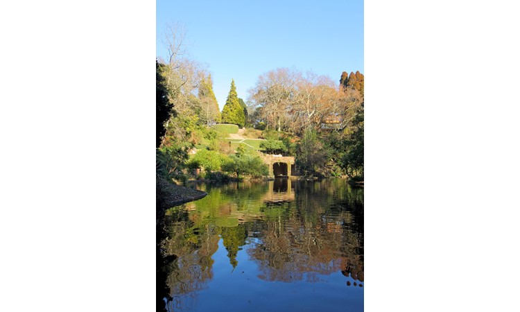 Serralves Park