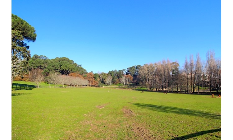 Serralves Park