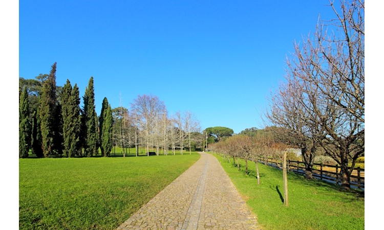 Serralves Park