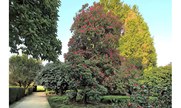 Quinta da Prelada