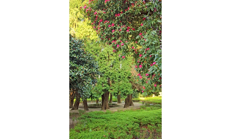 Quinta da Prelada