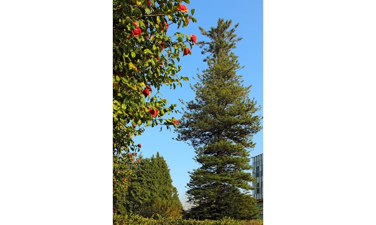Quinta da Prelada