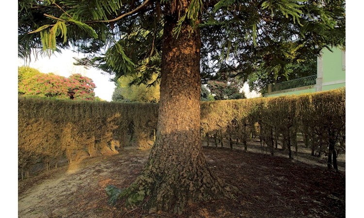 Quinta da Prelada