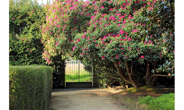 Quinta da Prelada