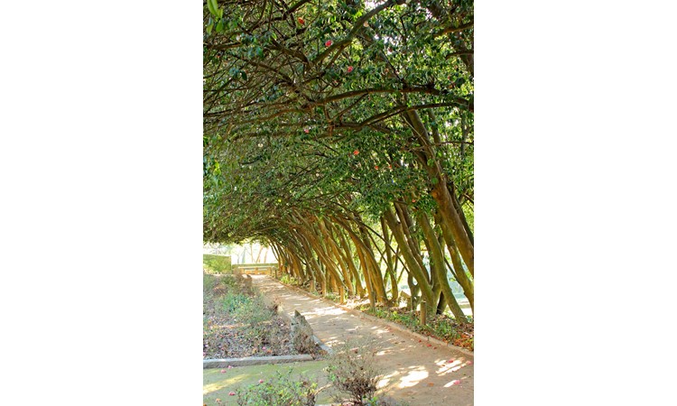 Quinta das Devesas