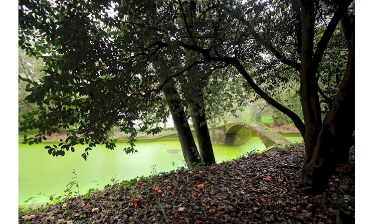 Quinta das Devesas
