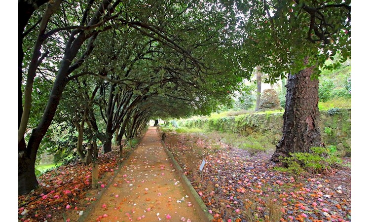 Quinta das Devesas