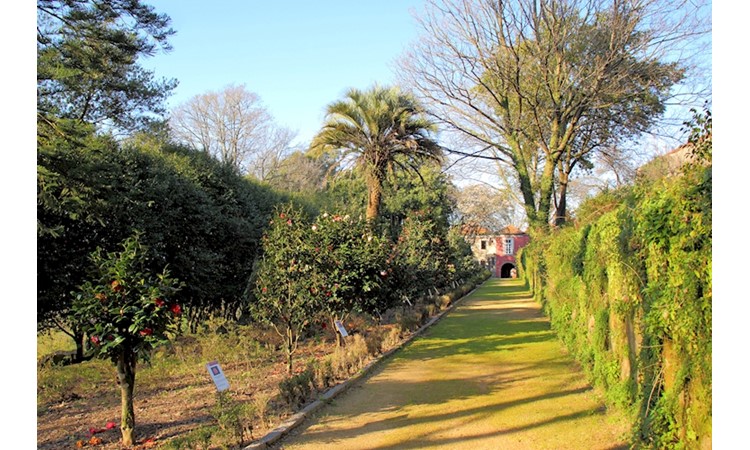Quinta das Devesas