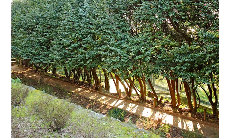 Quinta das Devesas