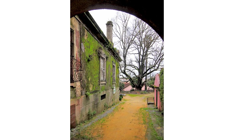 Quinta das Devesas