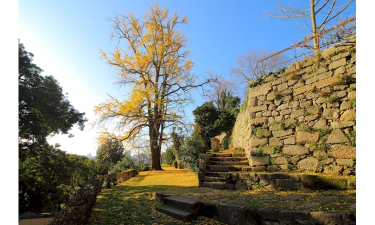 Quinta das Virtudes