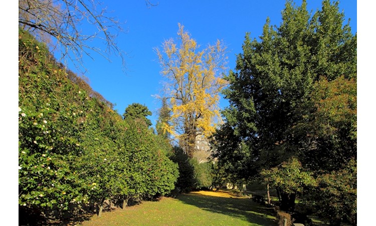 Quinta das Virtudes