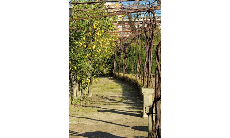 Quinta de Chão Verde