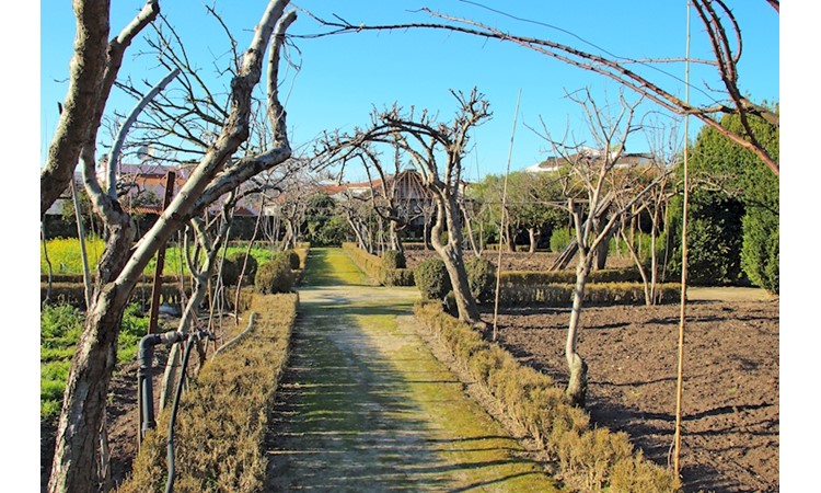 Quinta de Chão Verde