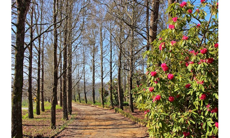 Quinta de Mourães