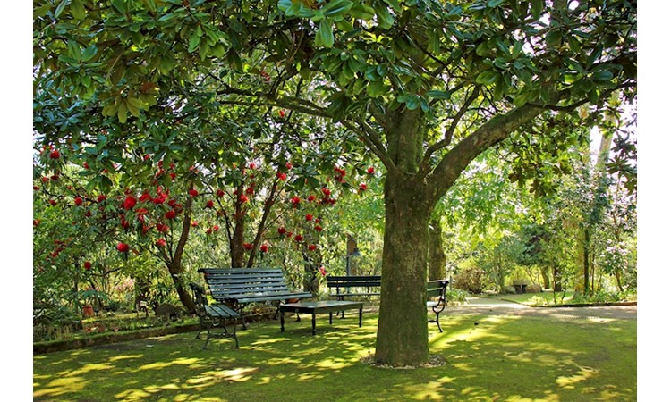 Quinta de Mourães
