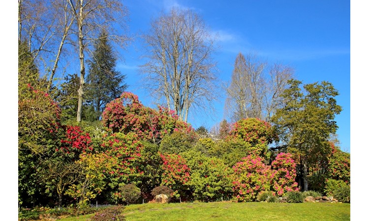 Quinta de Mourães