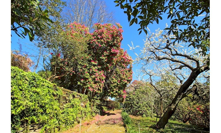 Quinta de Mourães