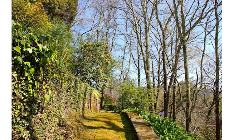 Quinta de Mourães
