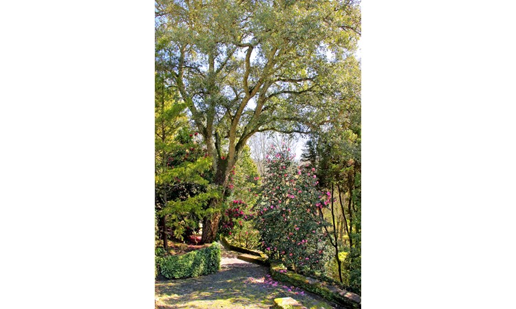 Quinta de Mourães