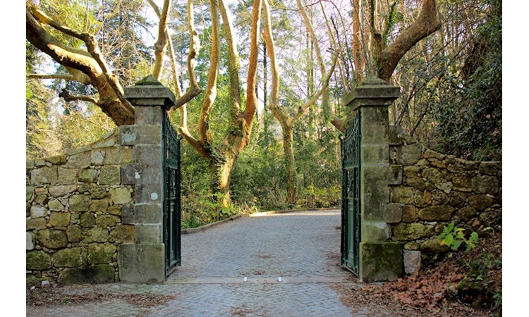 Quinta do Castelo
