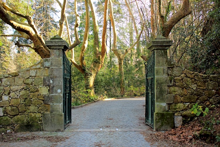 Quinta do Castelo