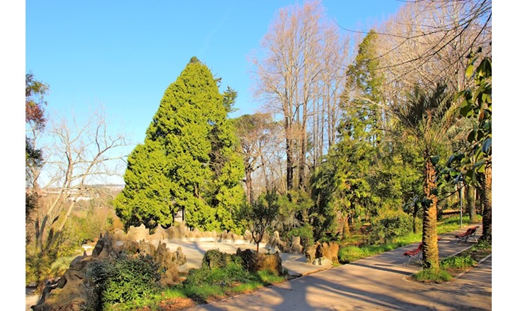 Quinta do Castelo