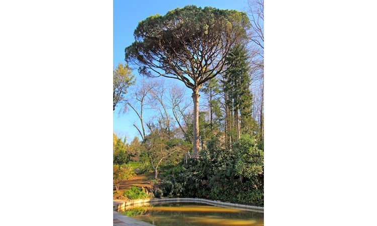 Quinta do Castelo