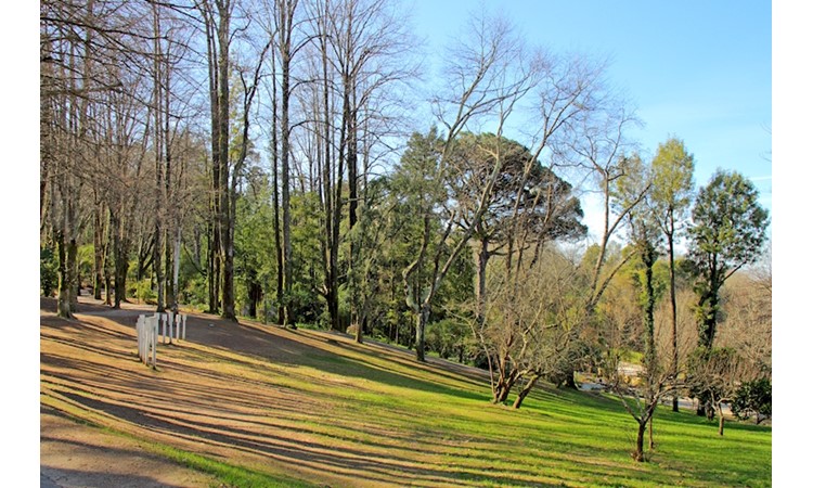 Quinta do Castelo
