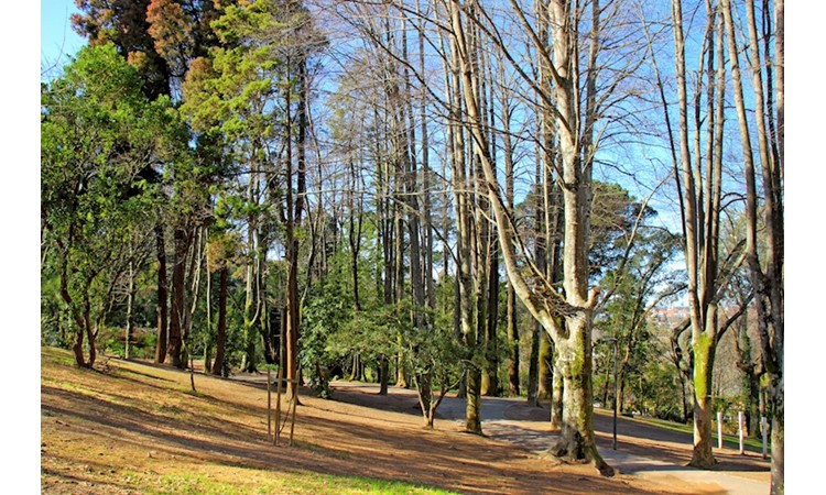 Quinta do Castelo