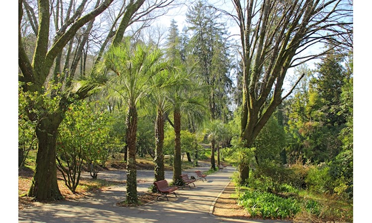 Quinta do Castelo