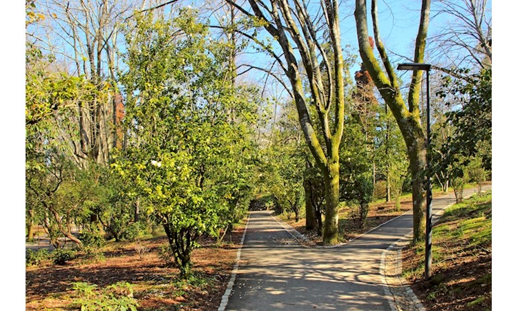Quinta do Castelo