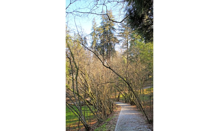 Quinta do Castelo