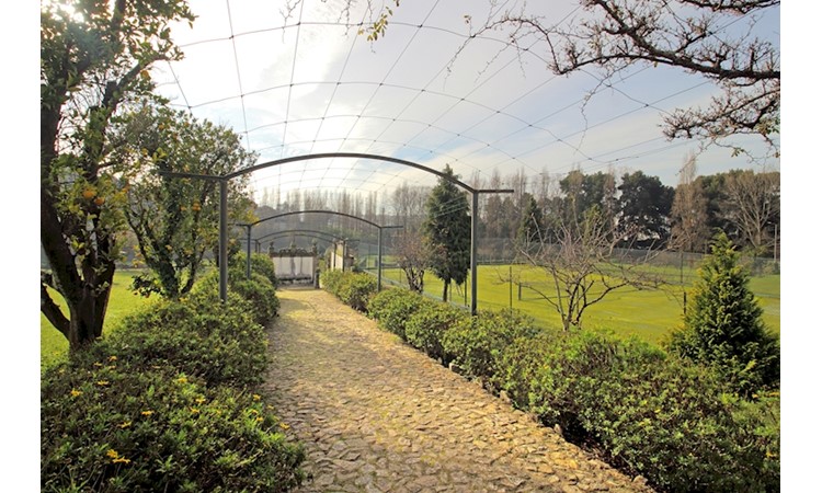 Quinta dos Cónegos