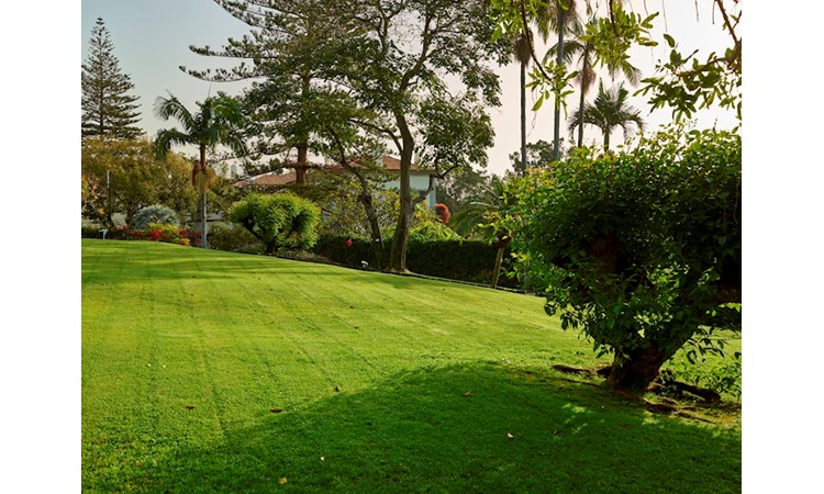 Quinta da Casa Branca