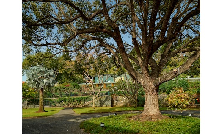 Quinta da Casa Branca