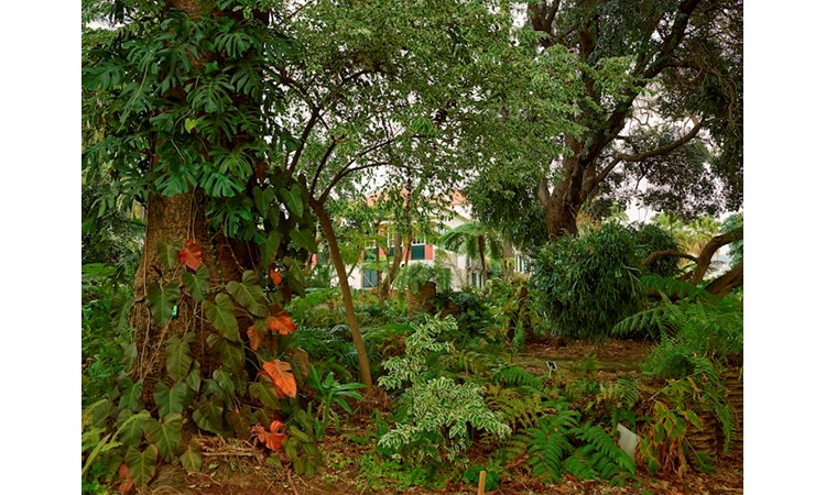 Quinta dos Jardins do Lago