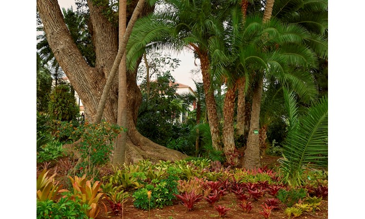Quinta dos Jardins do Lago