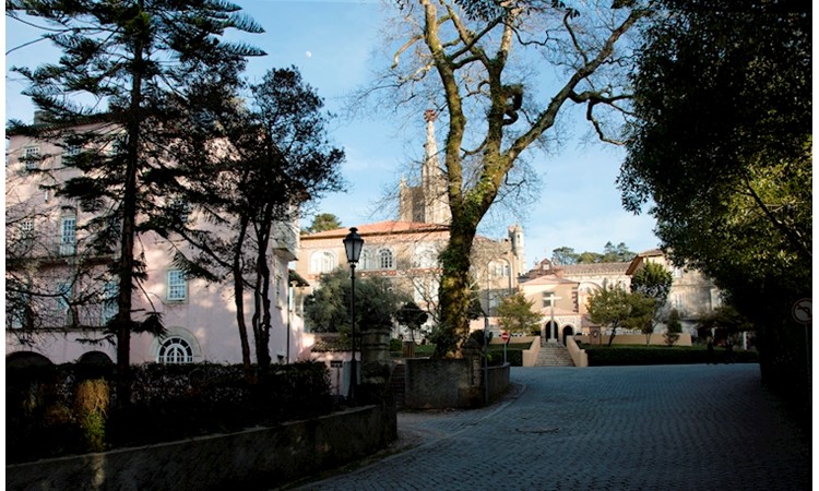 Mata Nacional do Buçaco