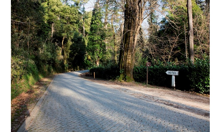 Mata Nacional do Buçaco