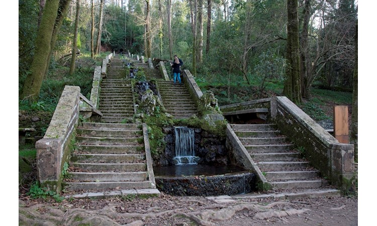 Mata Nacional do Buçaco