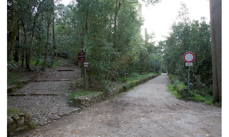 Mata Nacional do Buçaco