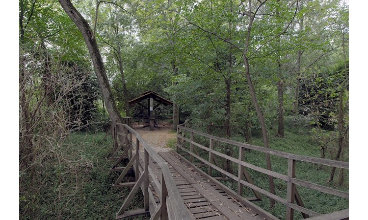 Choupal National Forest