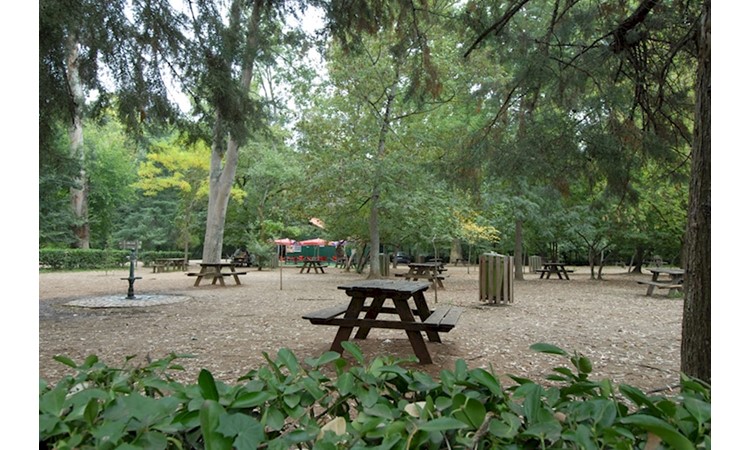 Choupal National Forest