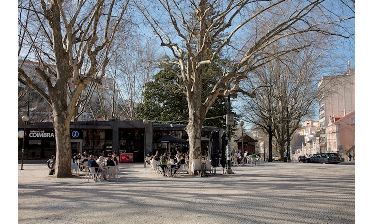Garden of the Avenida Sá da Bandeira