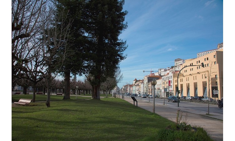Manuel Braga Park